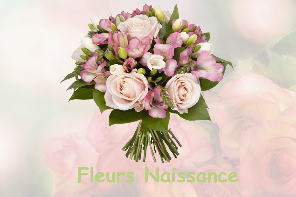 fleurs naissance SAINTE-MARIE-AU-BOSC