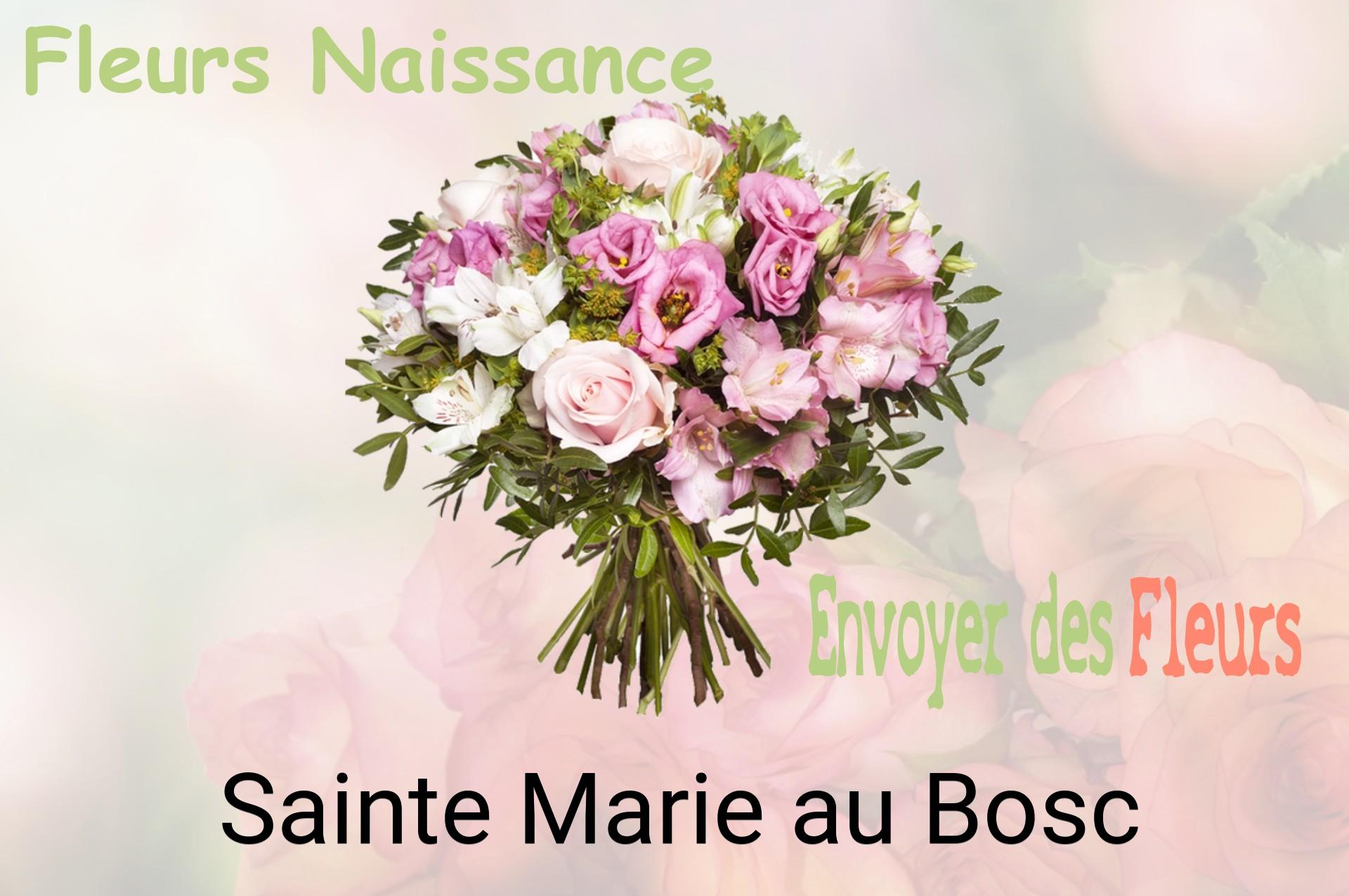 Bouquet de fleurs de naissance livré à Sainte-Marie-au-Bosc